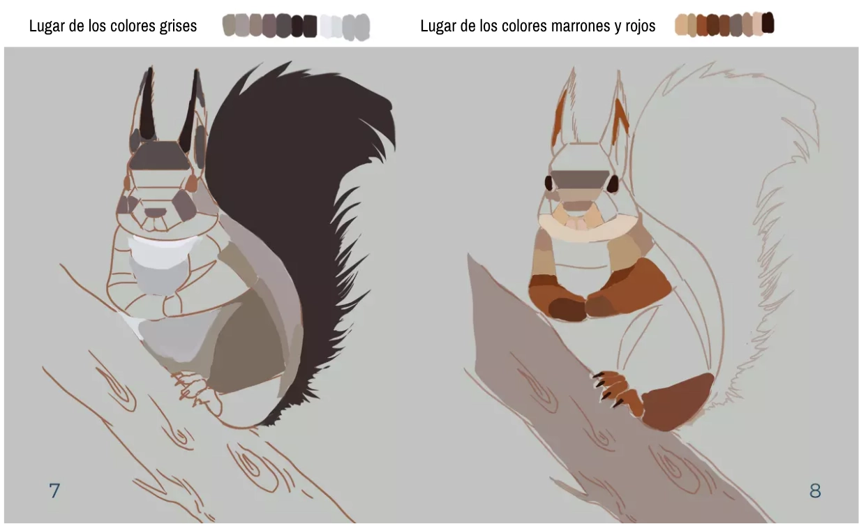 dibujo de las texturas de una ardilla