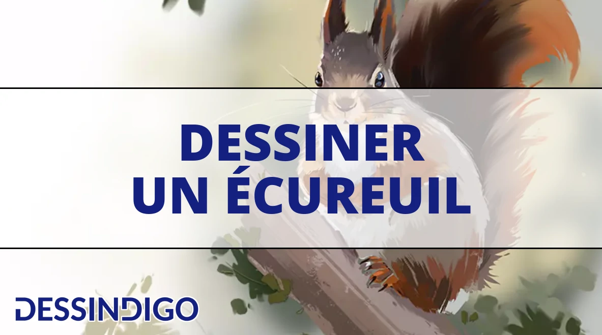 Dessiner un écureuil