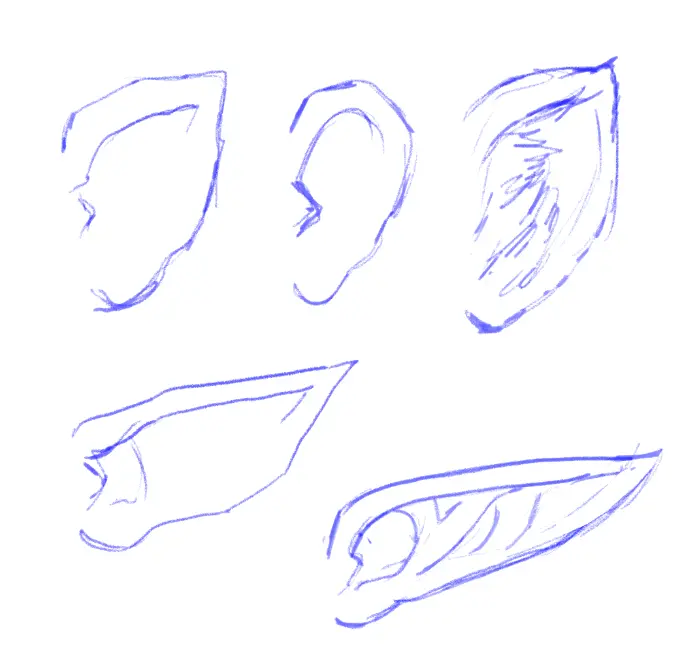 les différents formes d’oreilles d’elfe
