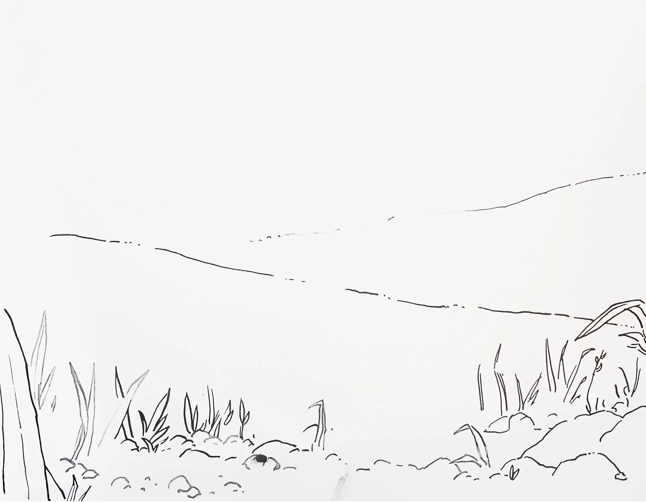 dessiner un chemin à l’encre de chine