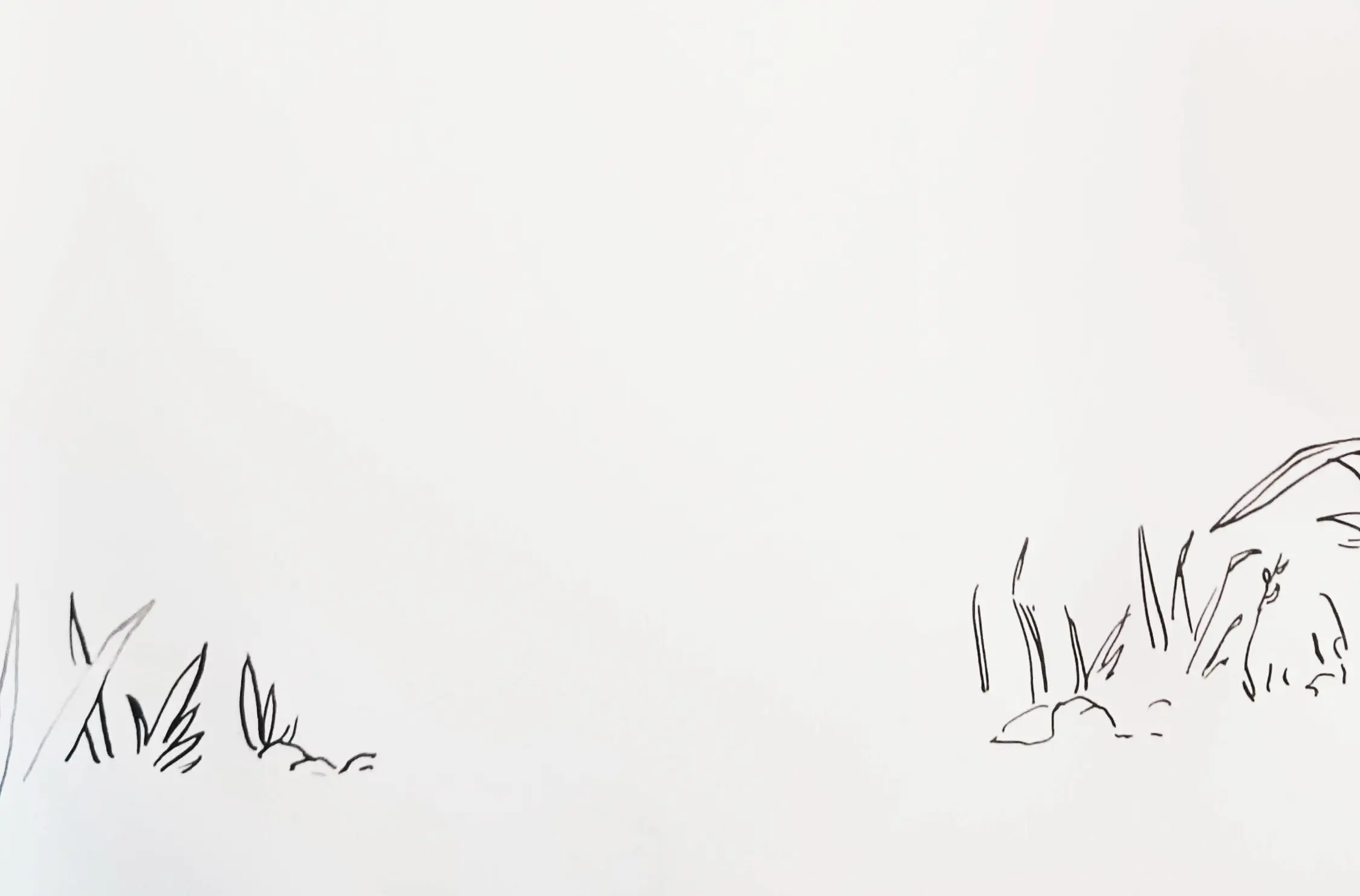 dessiner le premier plan à l’encre de chine