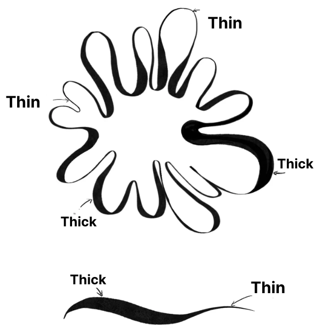 drawing the thicks and thins during inking