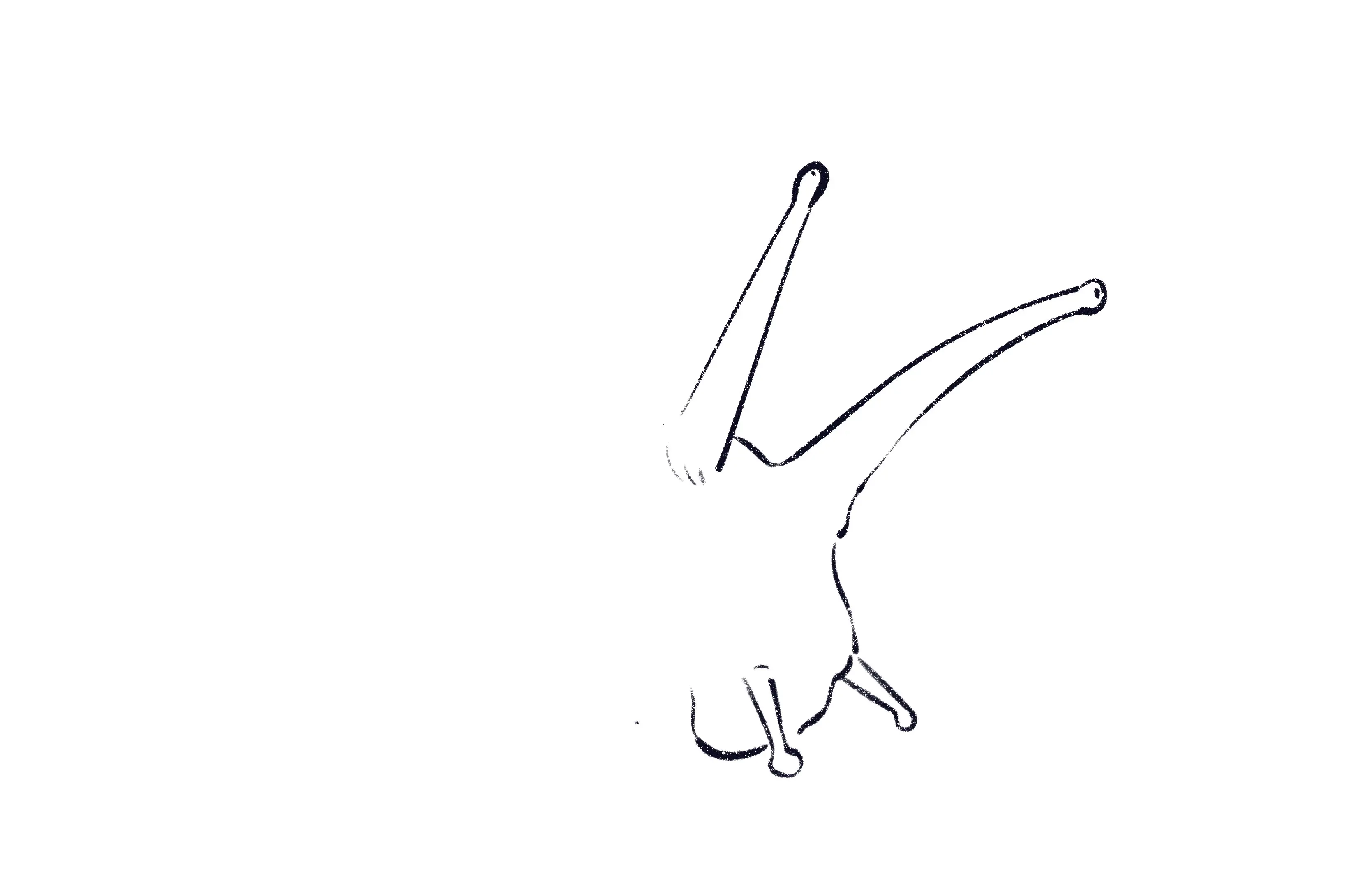 dessin de la bouche d’un escargot