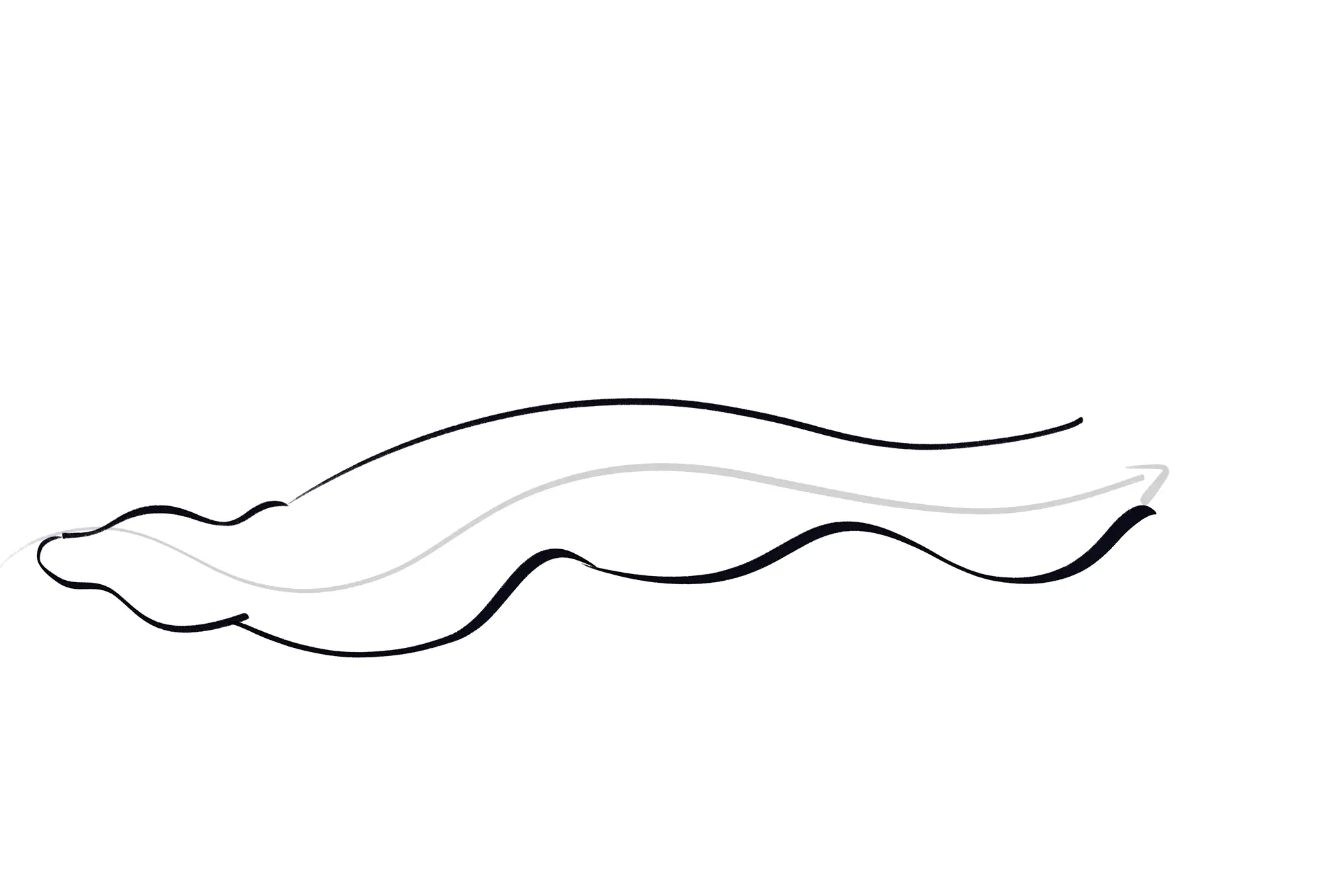 dessin de l’extrémité d’un escargot