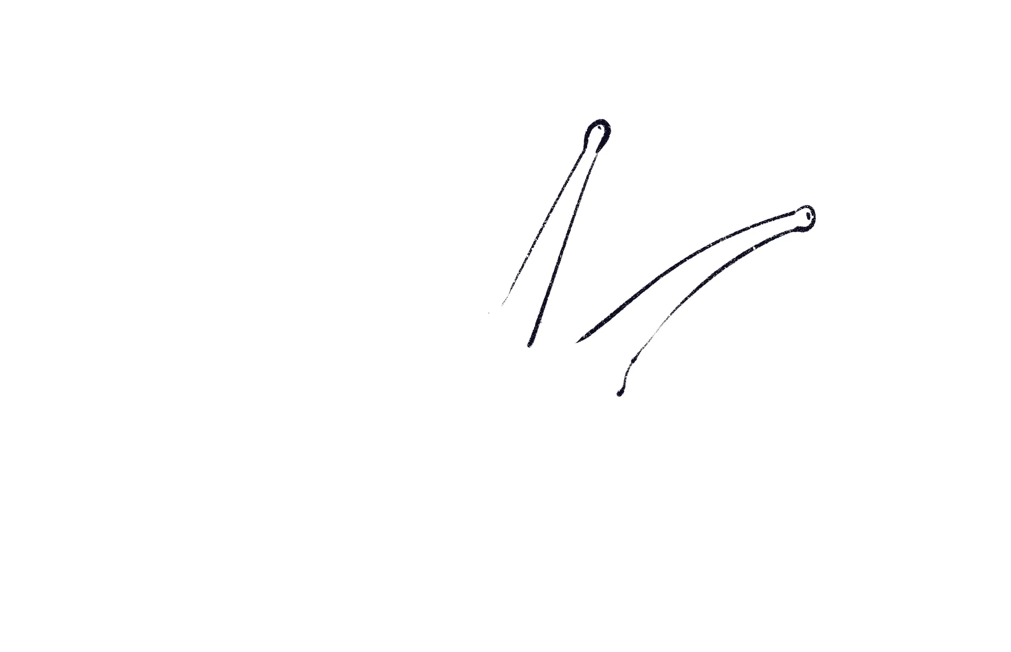 dessin des tentacules d’un escargot