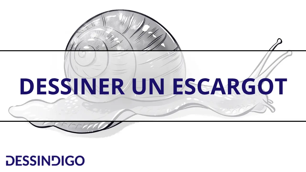Comment dessiner un escargot