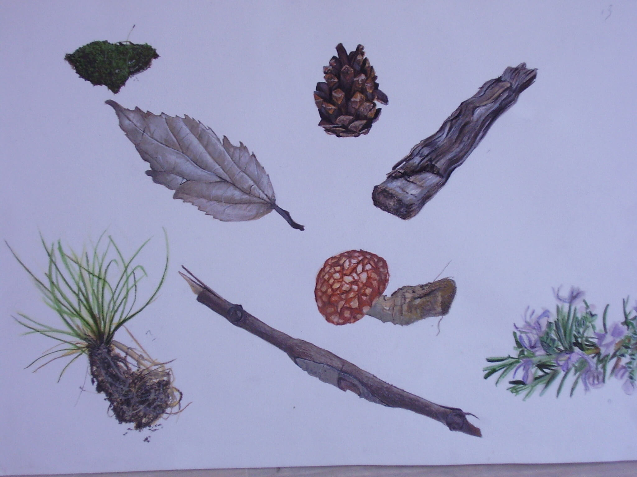 Réaliser un croquis fidèle de différents éléments