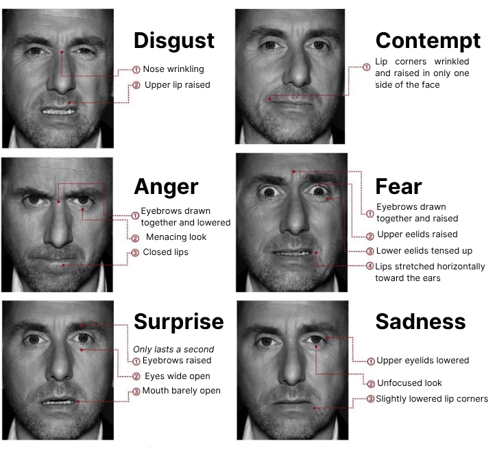 les principales expressions du visage image showing the main facial expressions