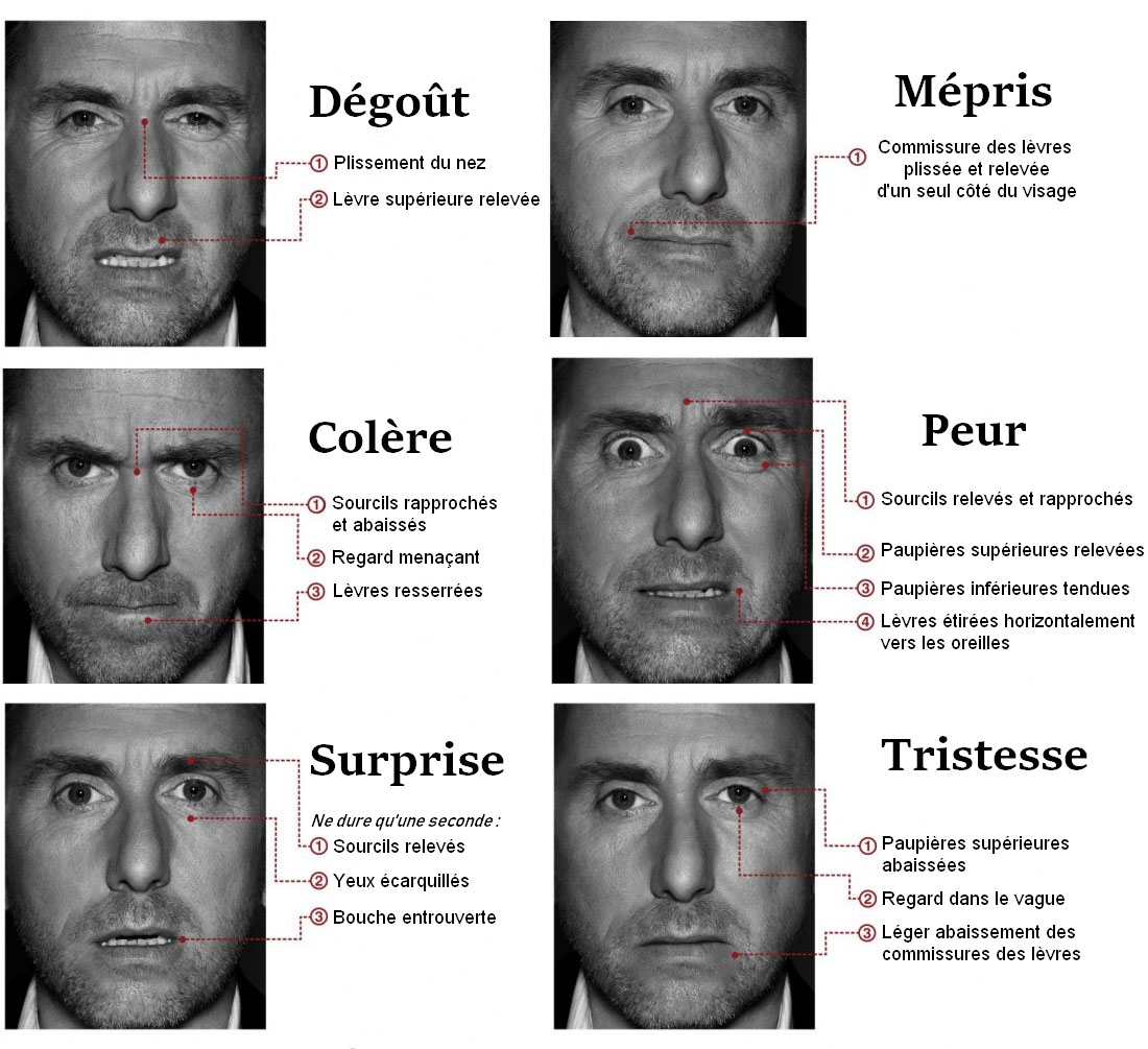 les principales expressions du visage les principales expressions du visage