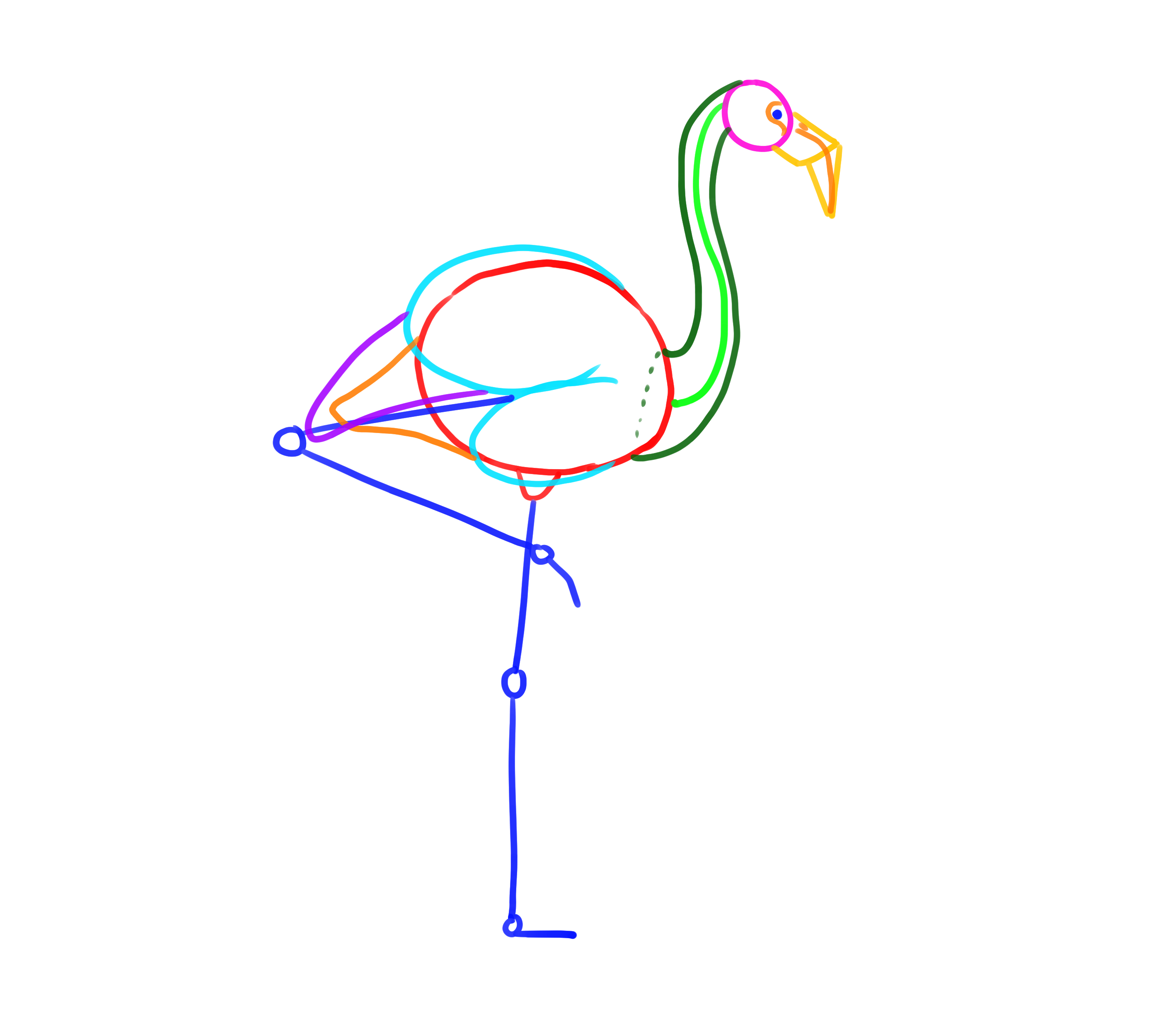 croquis de construction des ailes du flamant rose