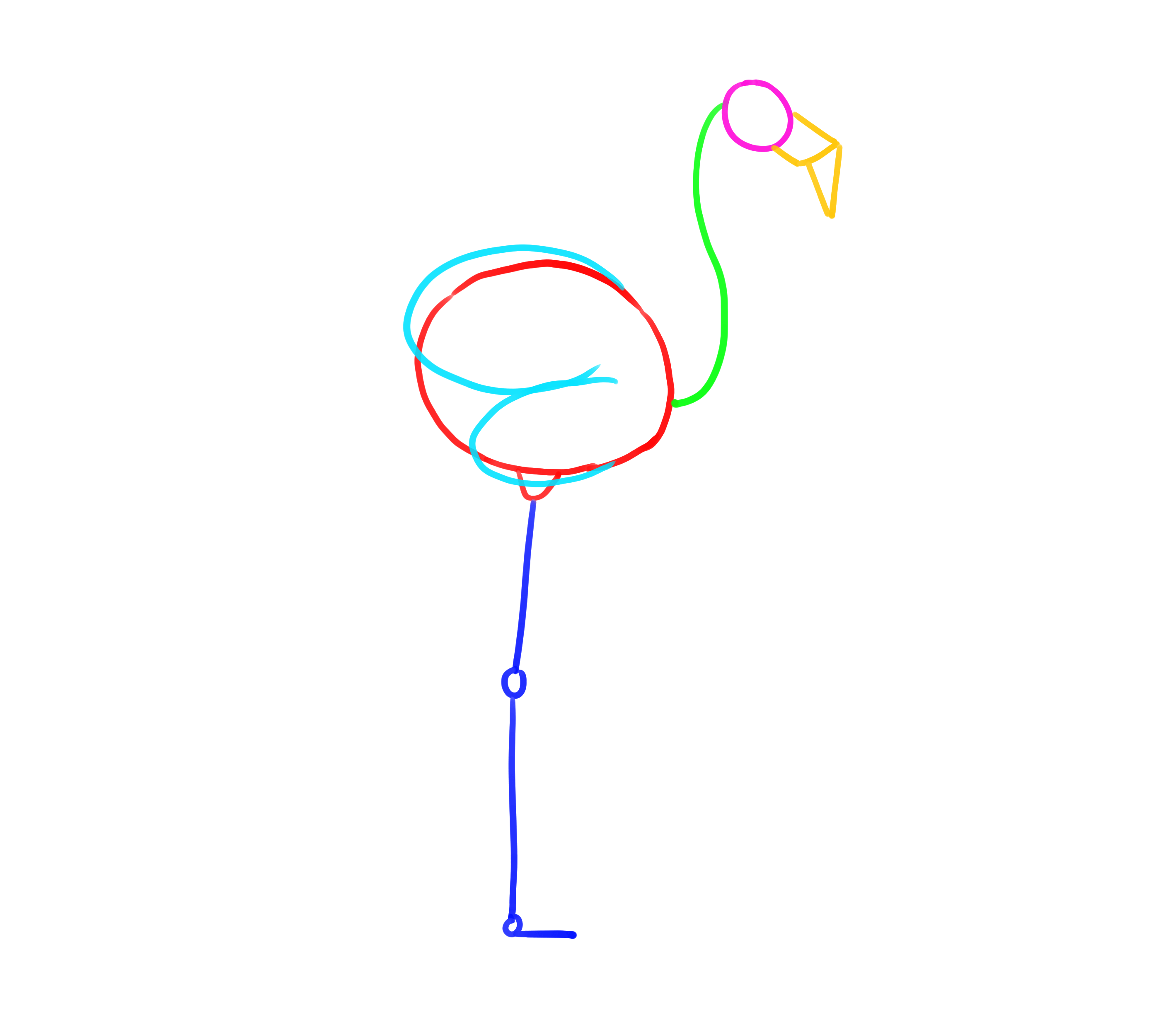 croquis de construction du bec du flamant rose