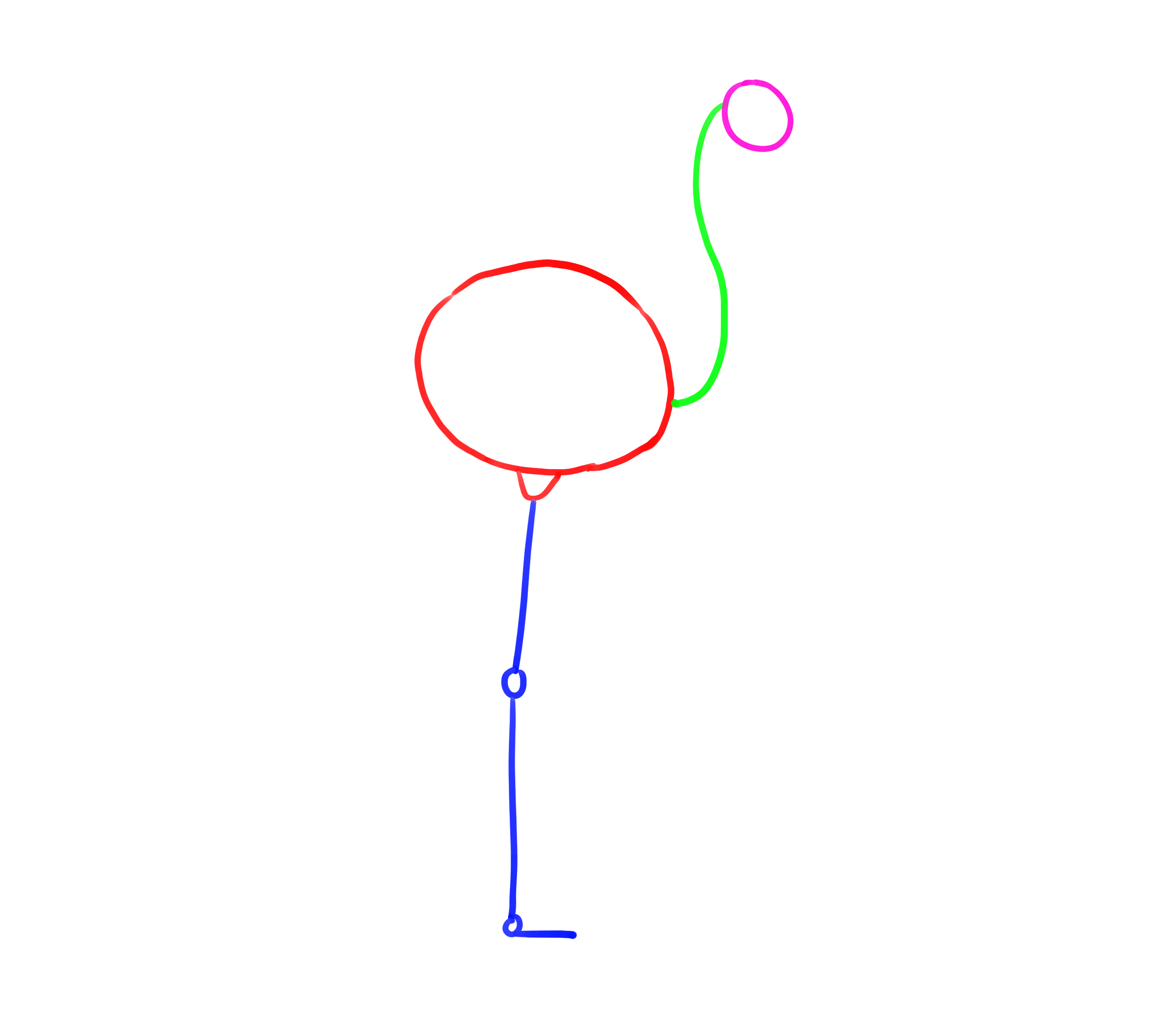 croquis de construction du flamant rose de profil