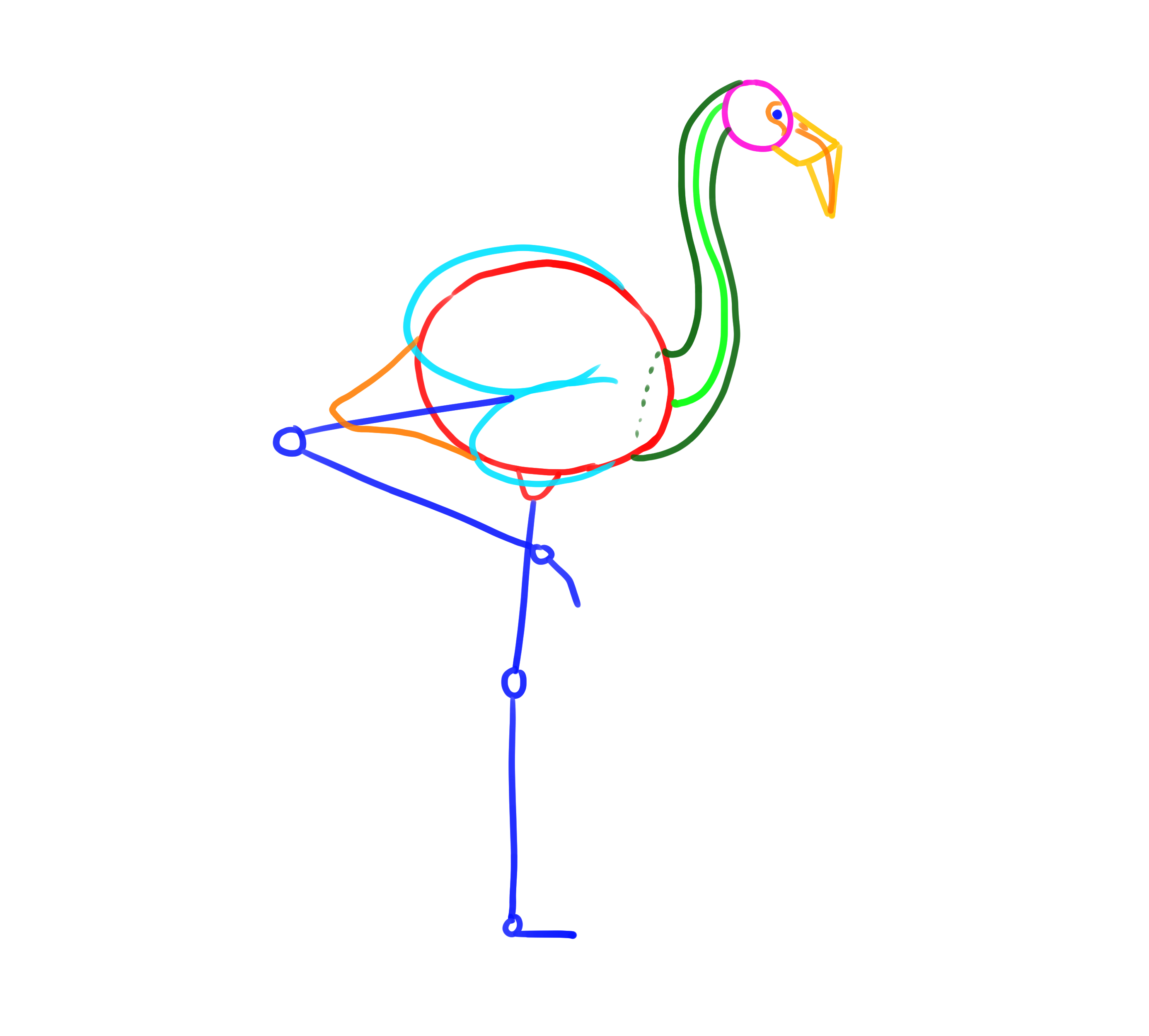 croquis de construction de la queue du flamant rose