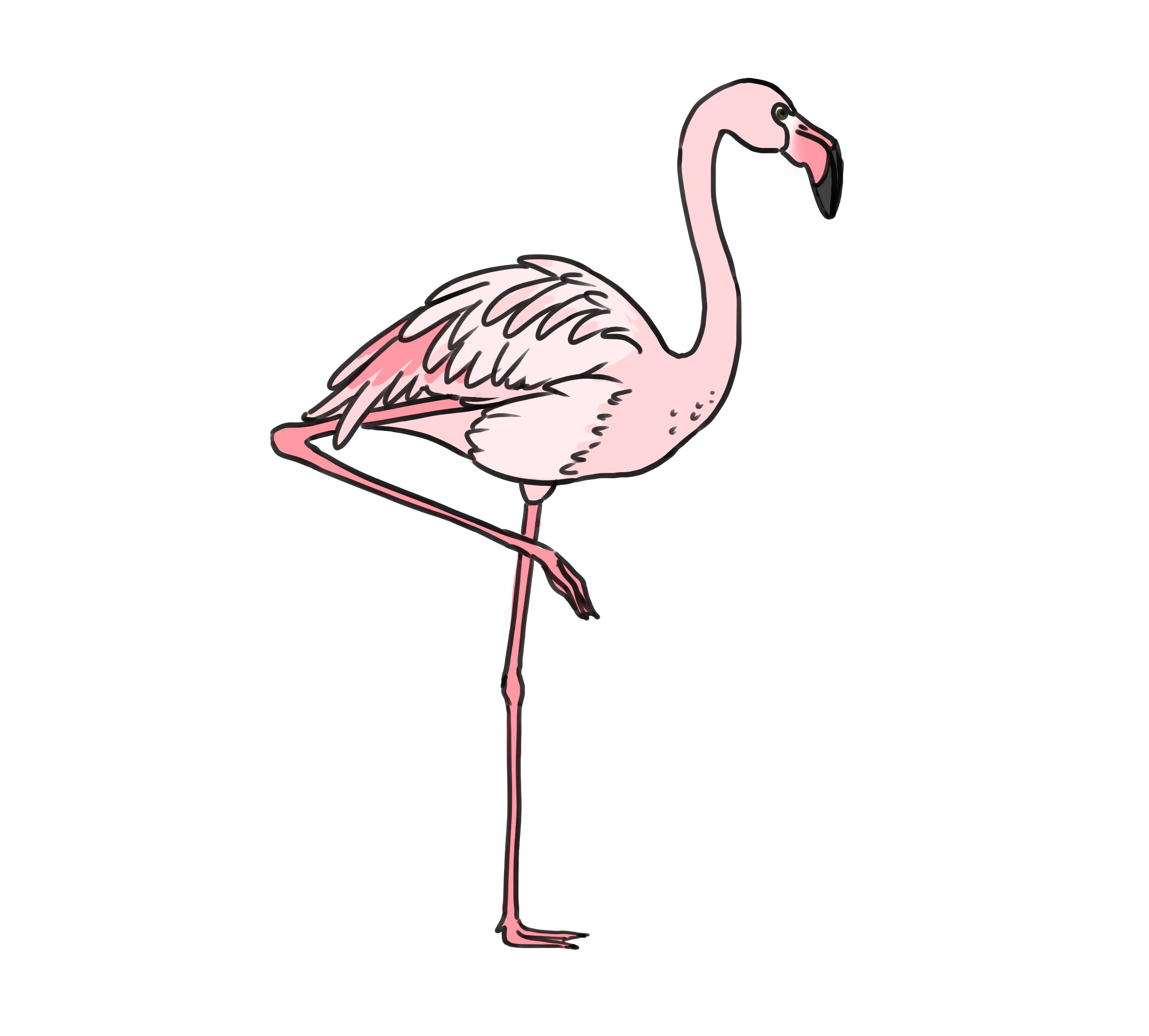 dessin d’un flamant rose