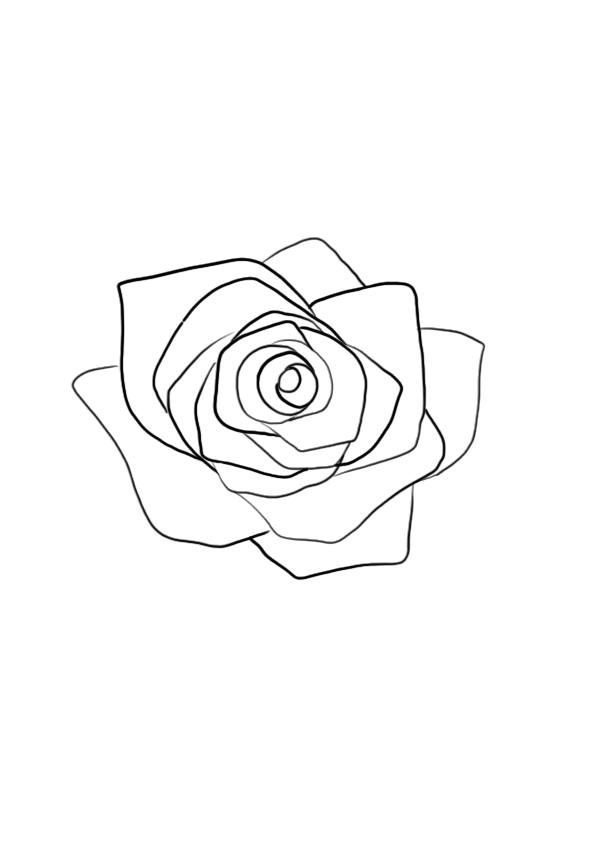 Dibujar una flor: la rosa