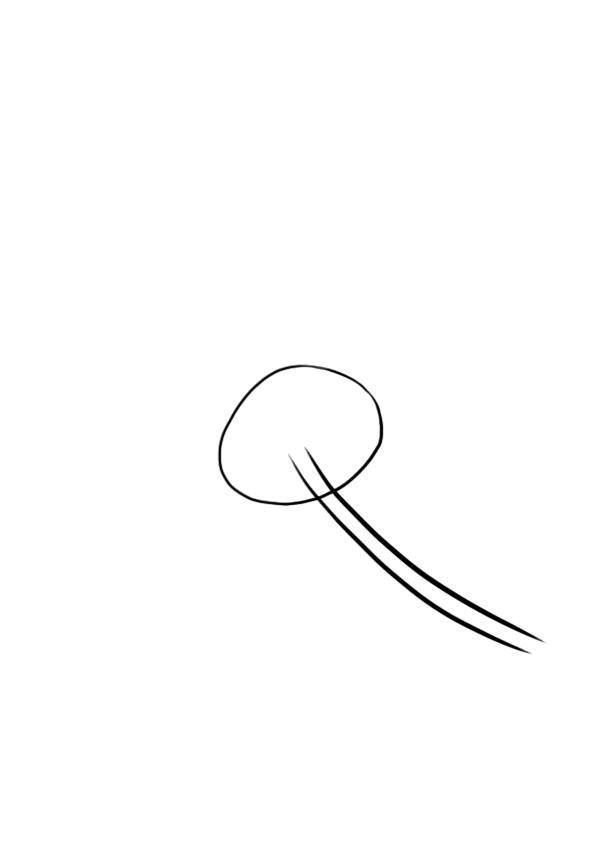 dessiner une fleur : la marguerite étape 2