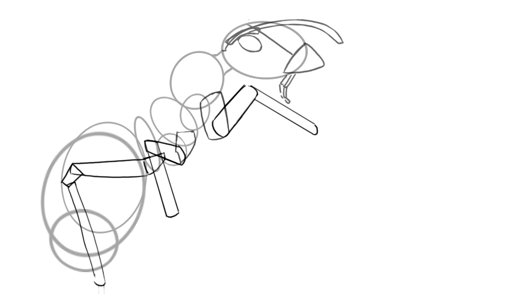 croquis des articulations d’une fourmi-2