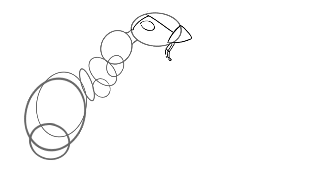 croquis des mandibules d’une fourmi