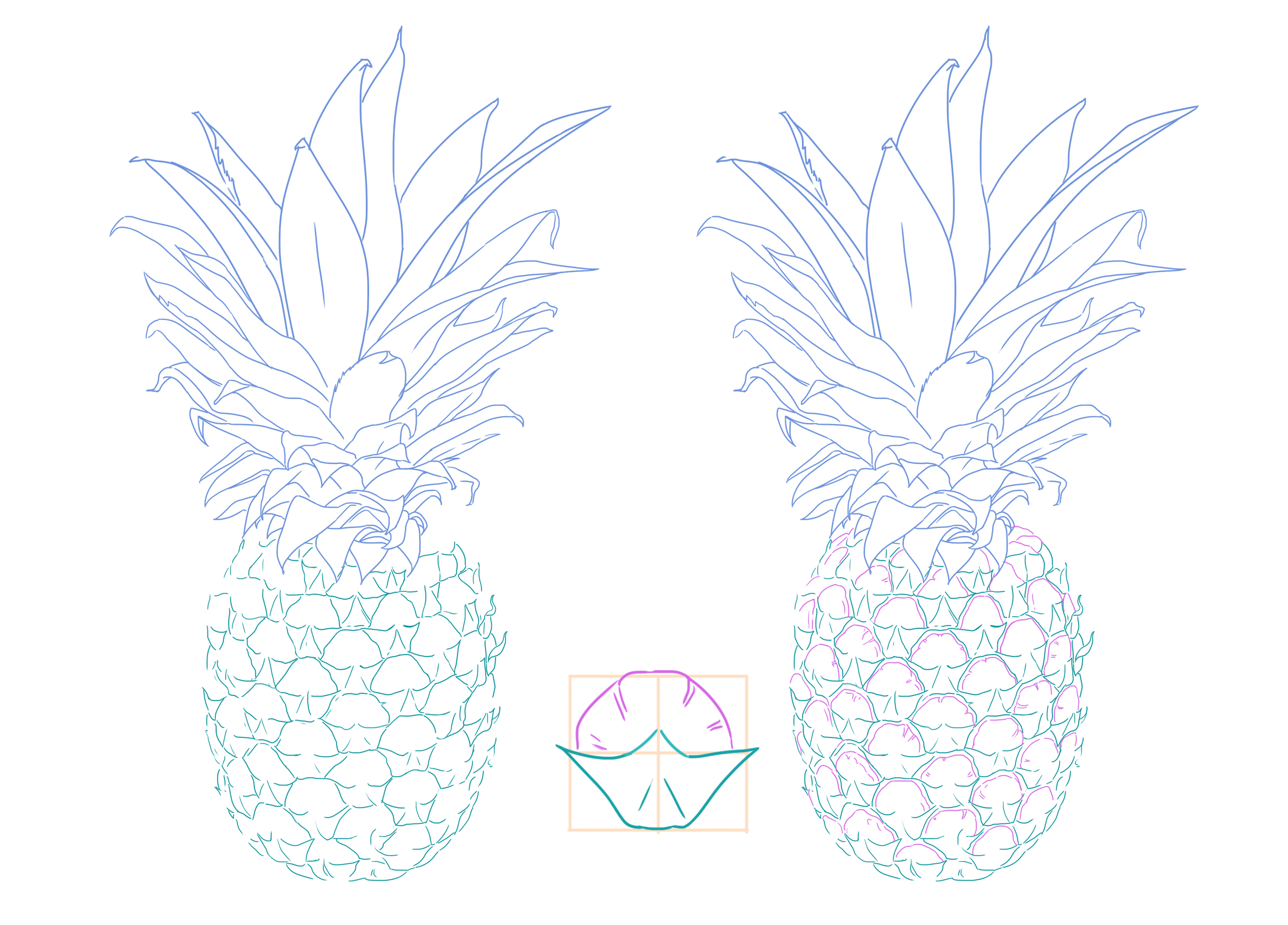 croquis de l’écorce de l’ananas 2