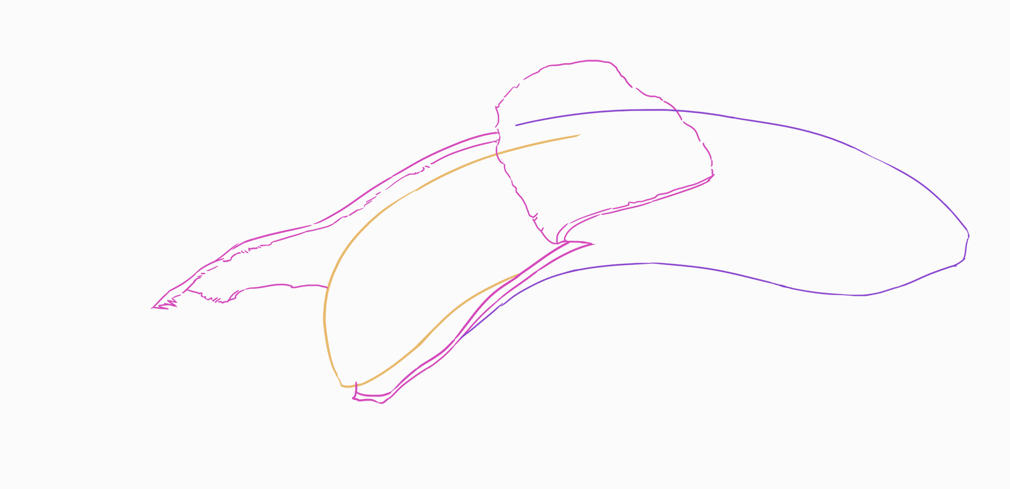 croquis de la peau de la banane 2