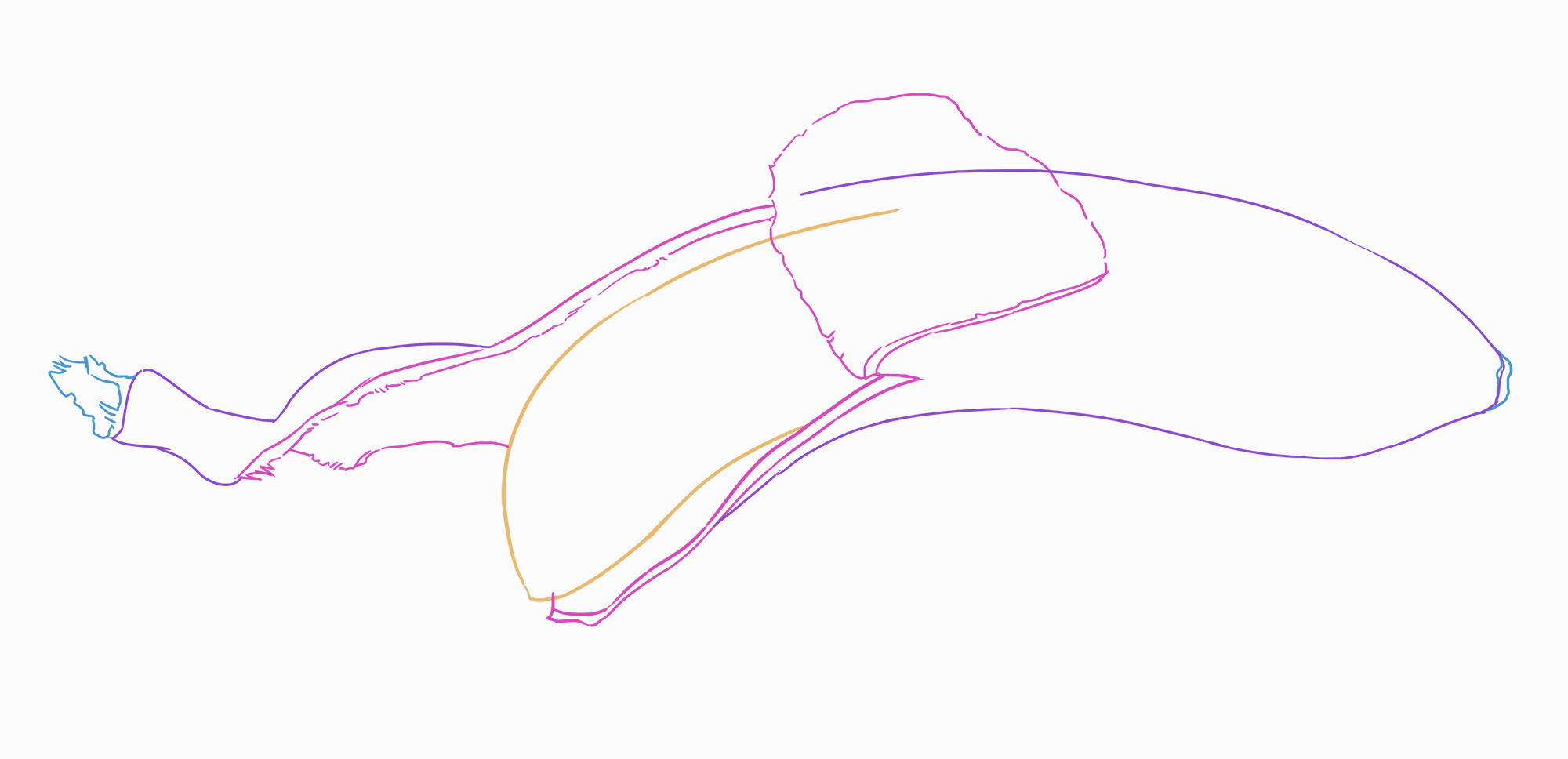 croquis de la peau de la banane 3