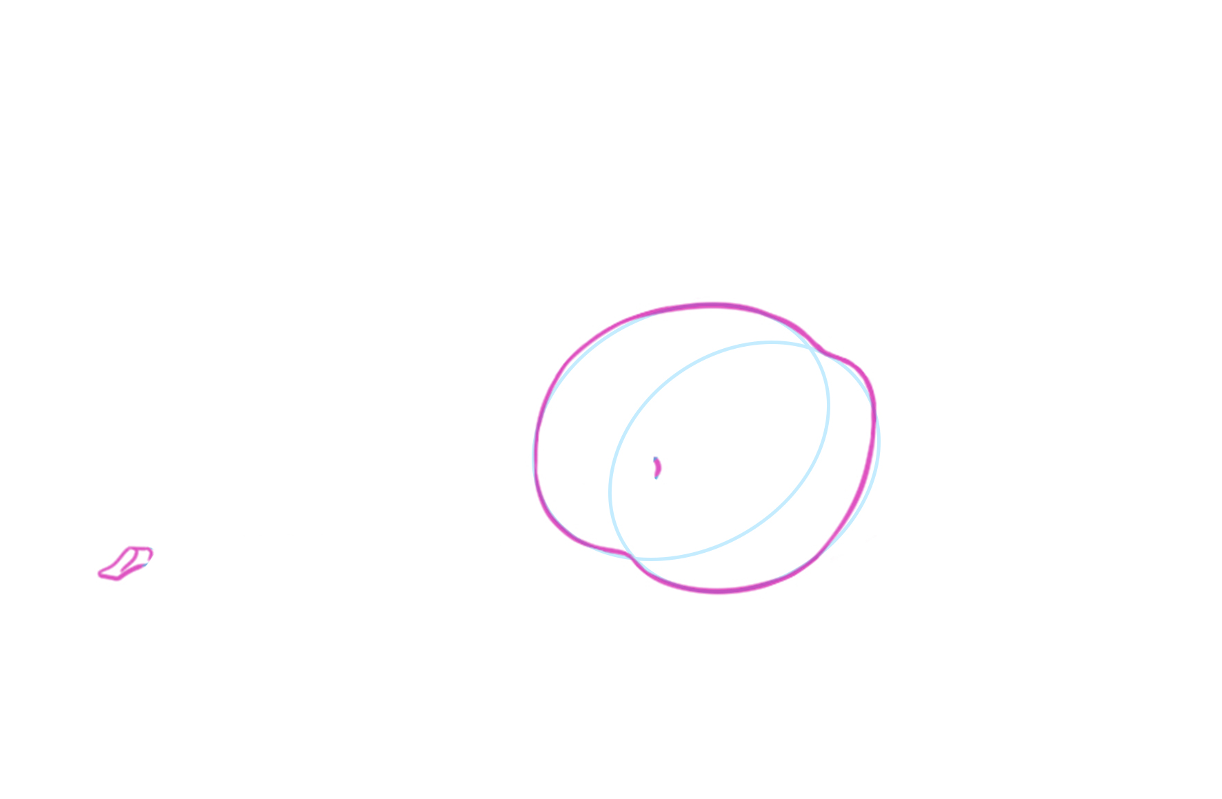 croquis du pédoncule de la cerise