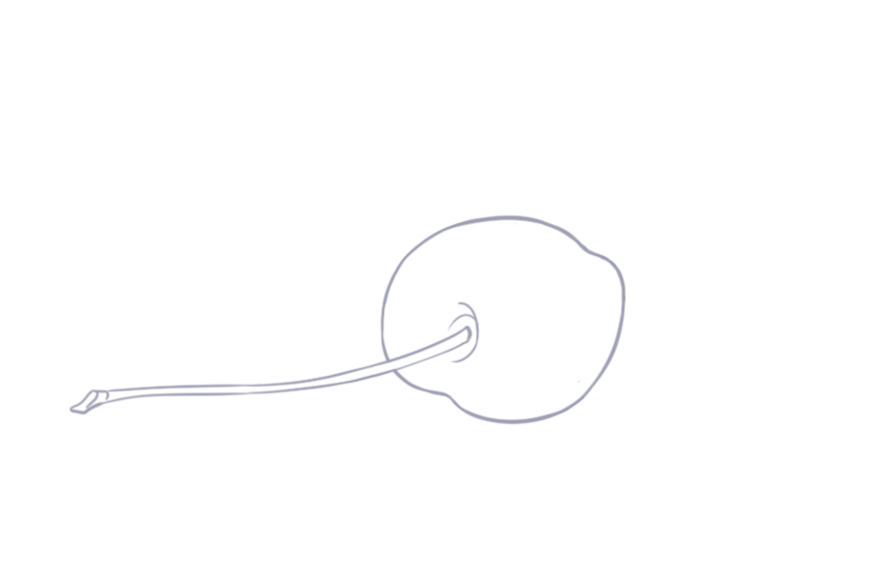 dessin de fruit : cerise