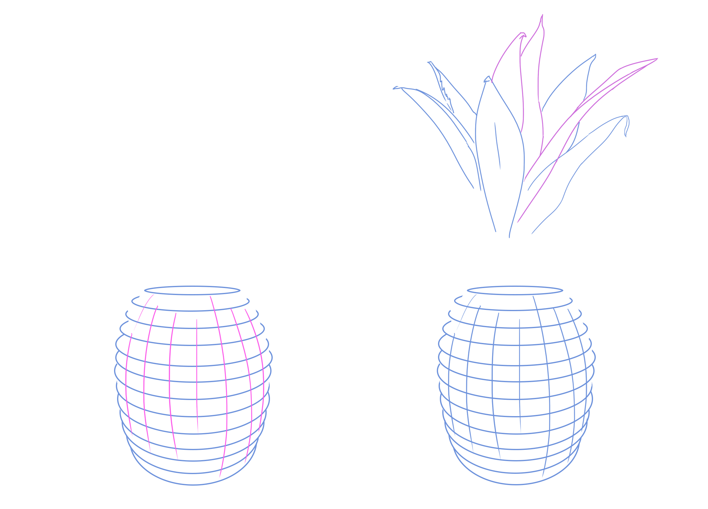 dessiner les lignes conductrices de l’ananas