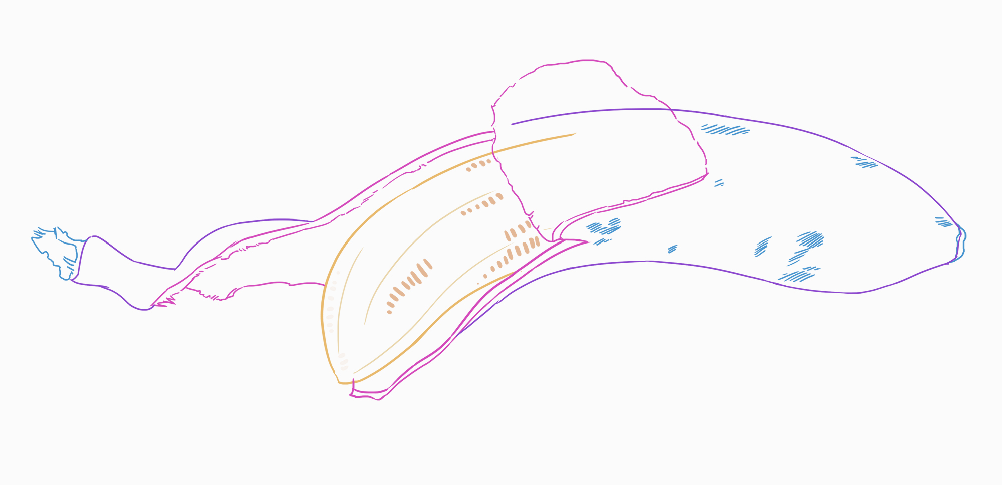 dessin de la peau de la banane avec des tâches