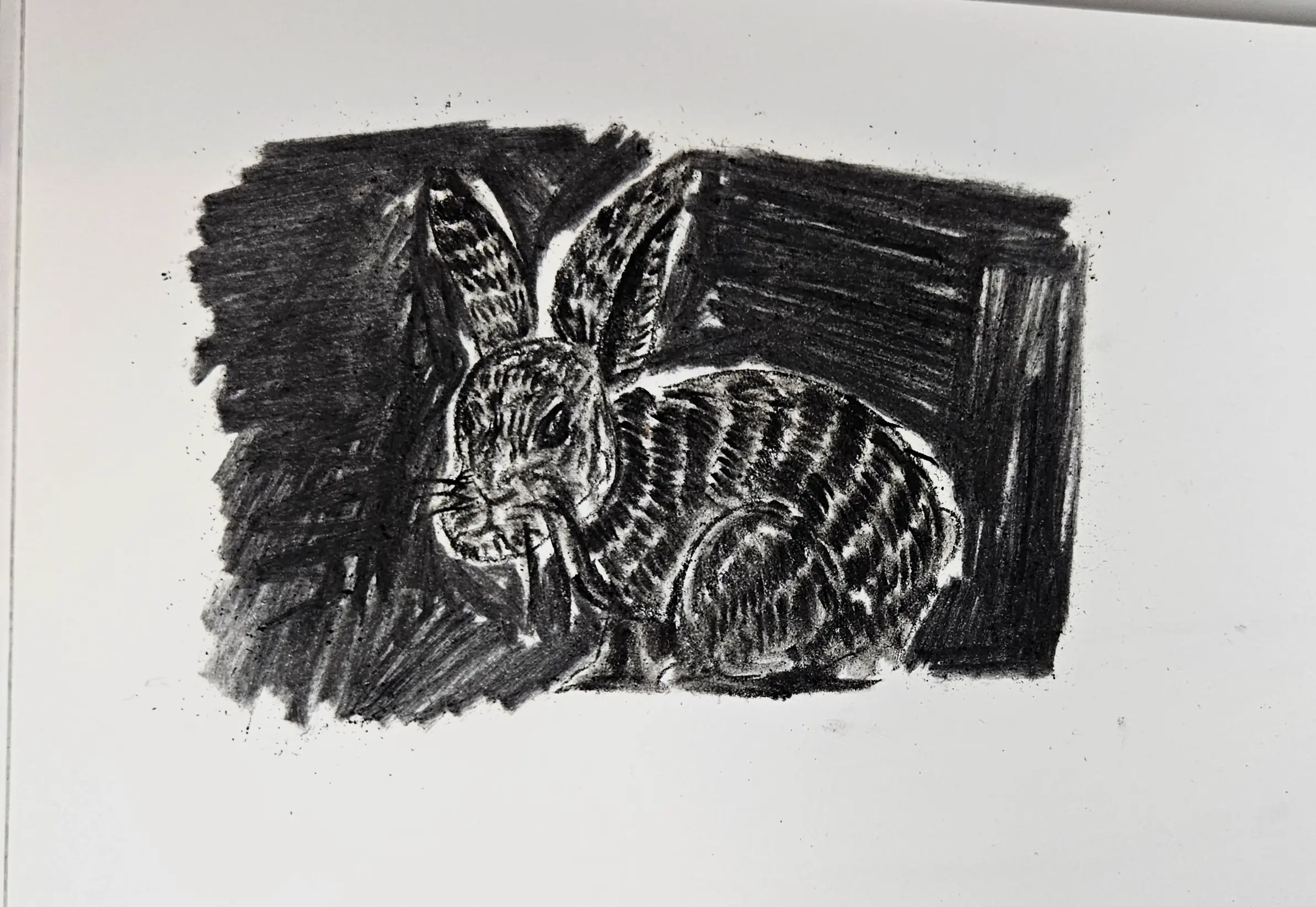 dessiner l’arrière plan d’un lapin au fusain