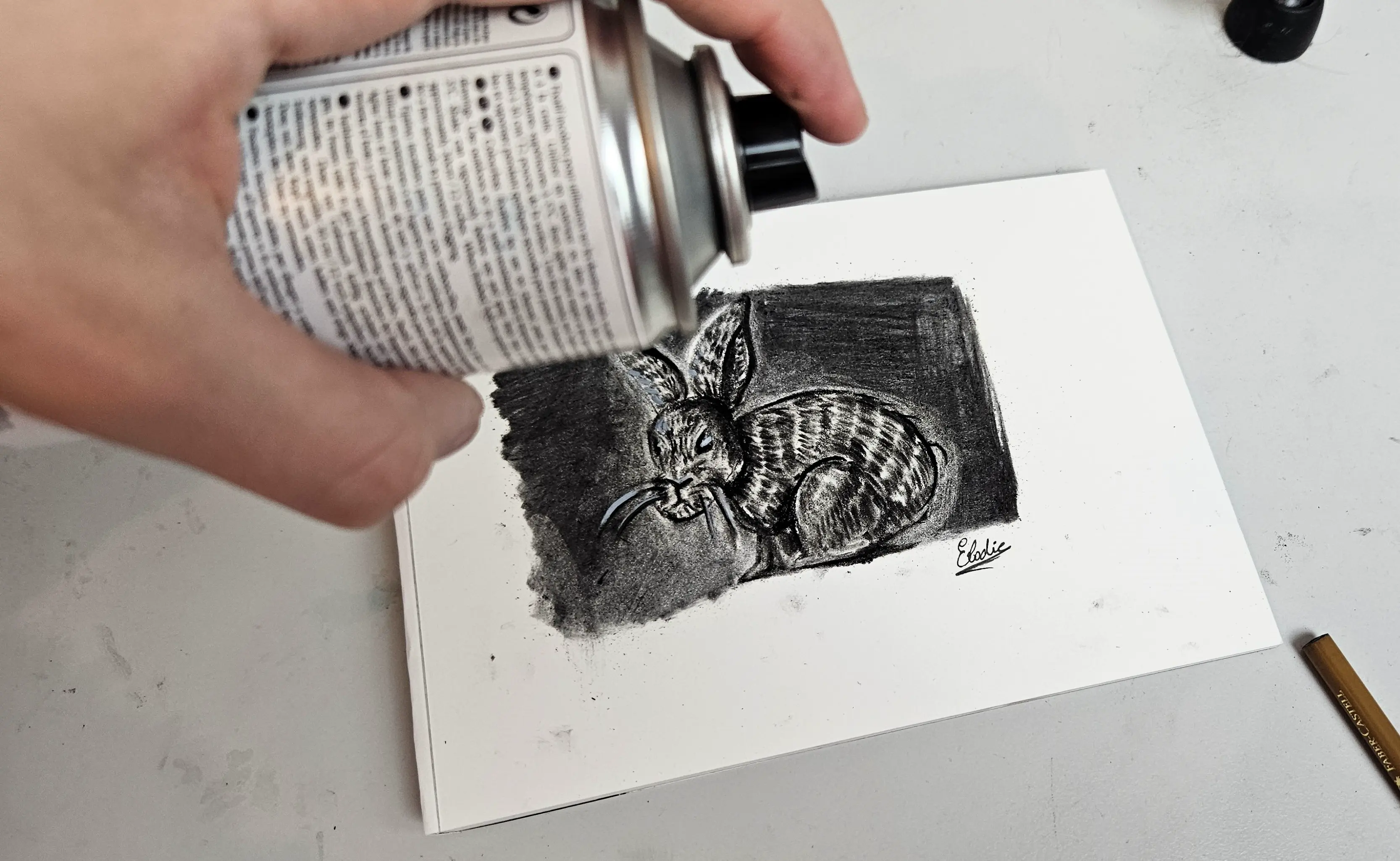 fixer son dessin de lapin au fusain