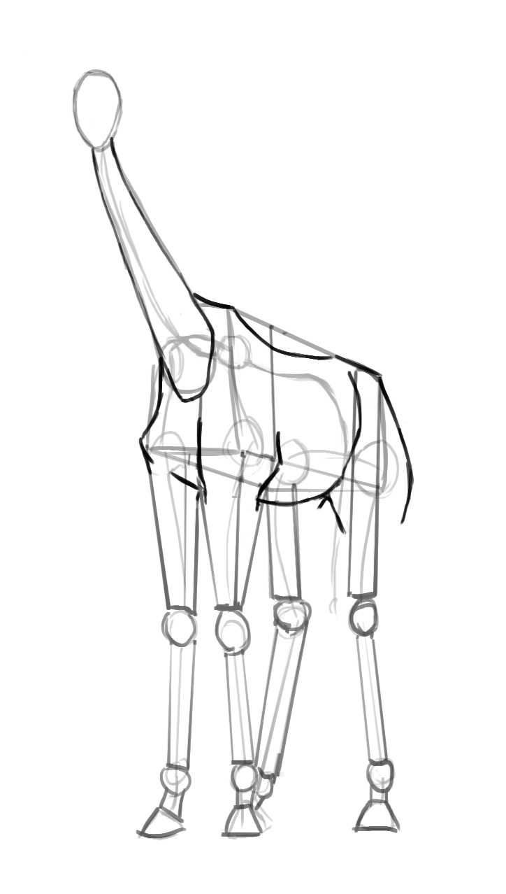 Dessiner le corps de la girafe