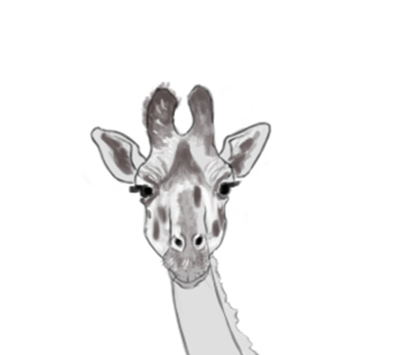 Dessiner la fourrure sur la tête de la girafe, étape 2