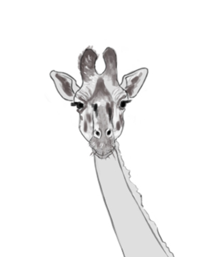 Dessiner la fourrure sur la tête de la girafe, étape 3
