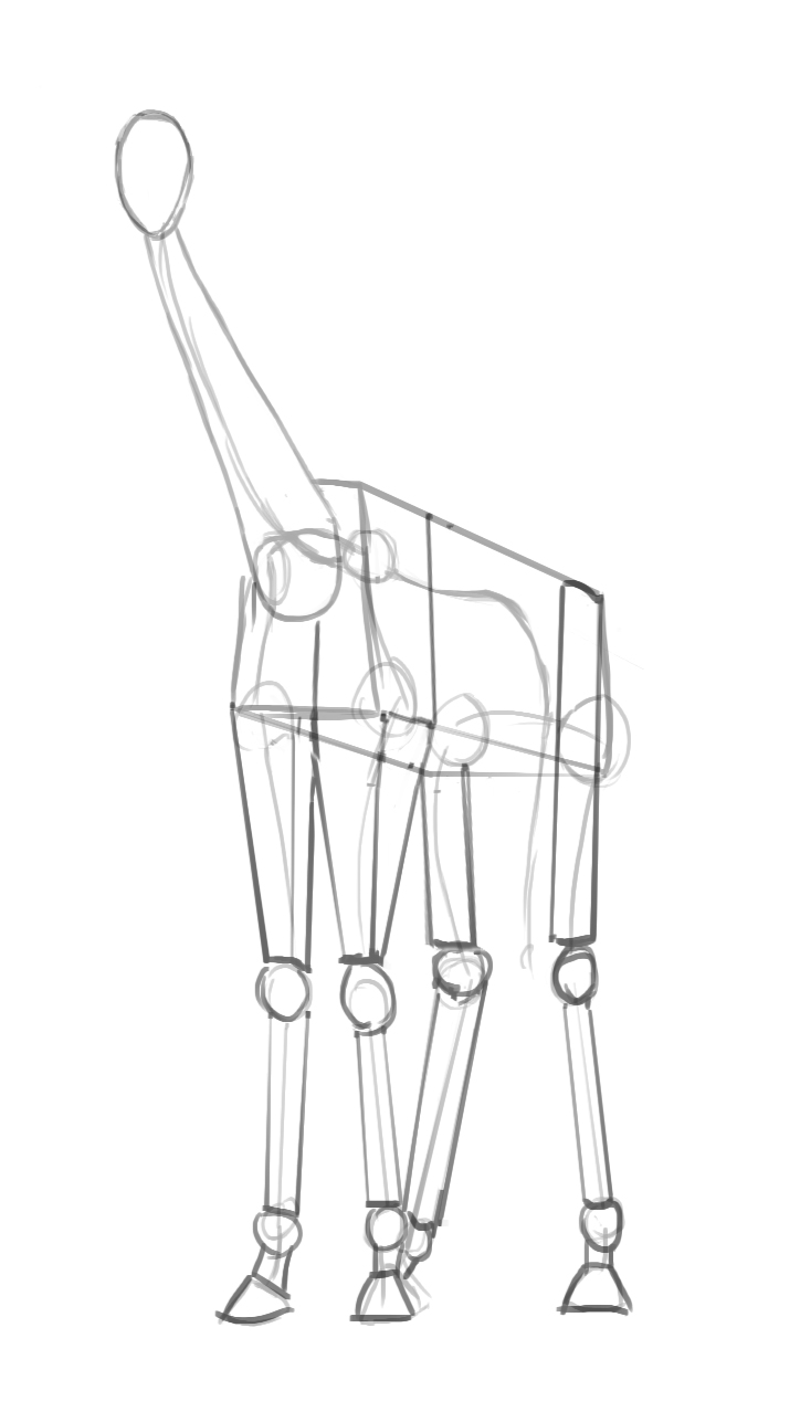 Dessiner les pattes avec des formes simples