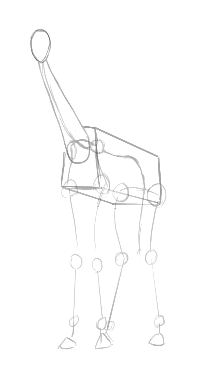 Dessiner la tête et le corps avec des formes simples