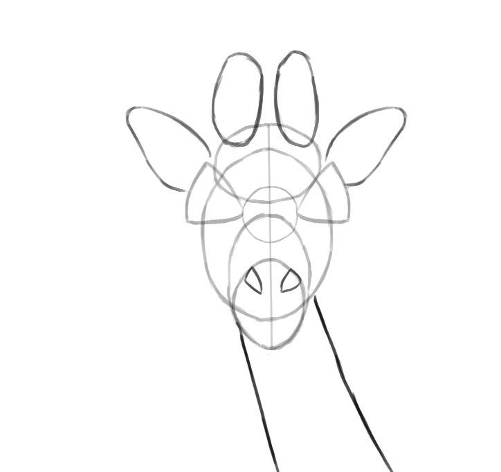Dessiner la tête de la girafe, étape 3