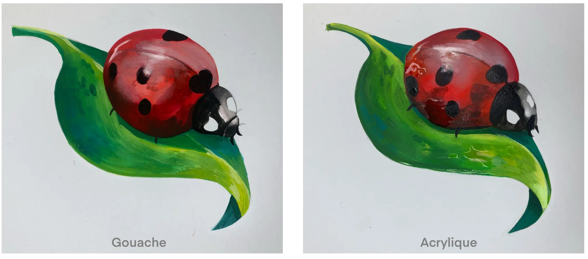 exemples de dessins réalisés à la gouache et à l'acrylique