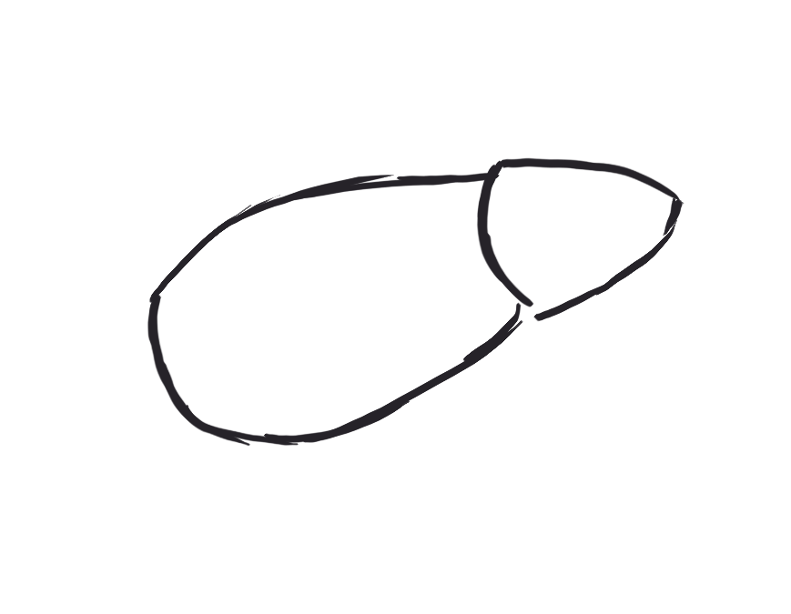 dessin du corps de la grenouille