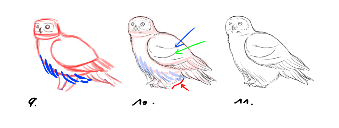 dessiner un hibou au sol étape 2