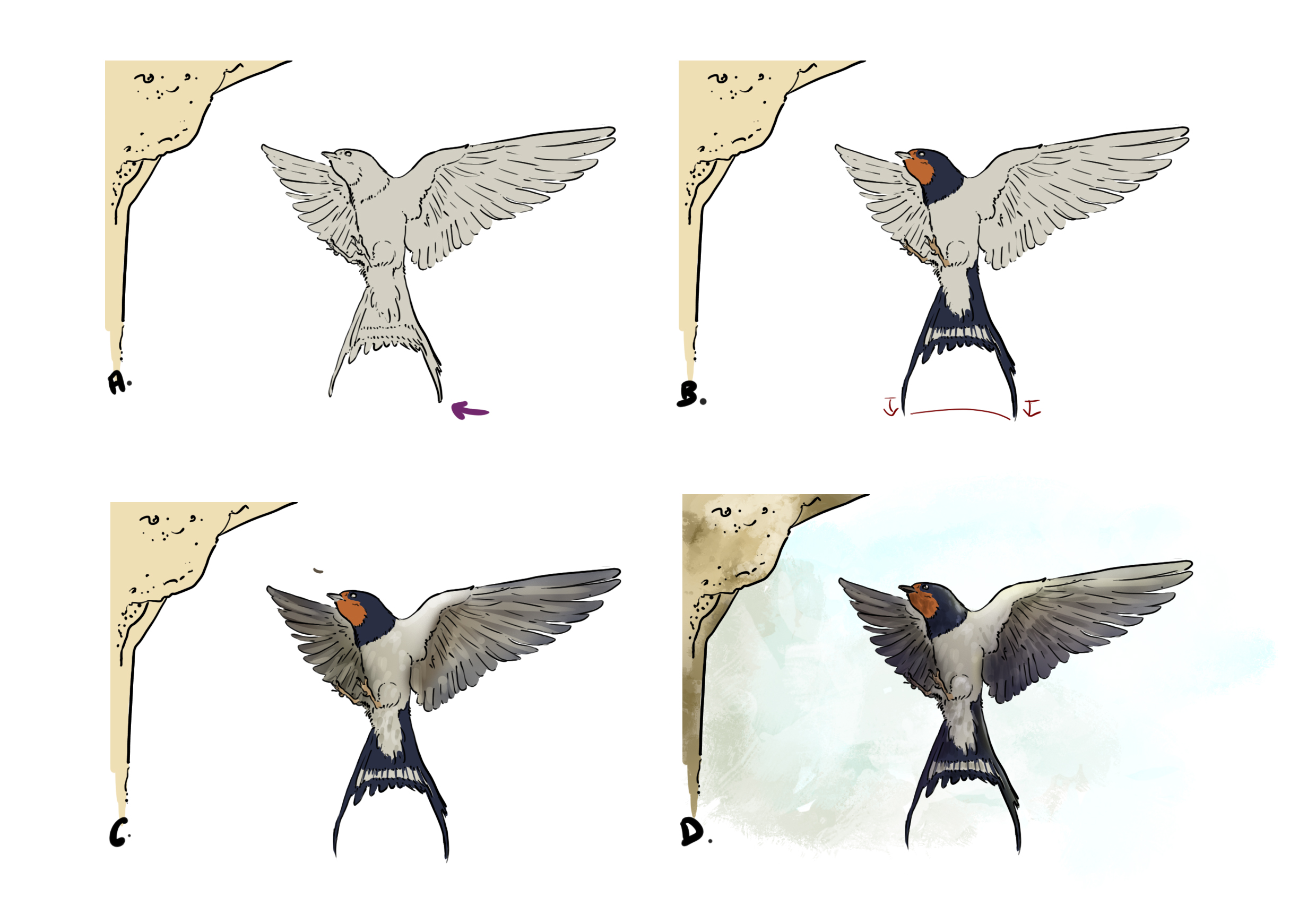 comment dessiner une hirondelle