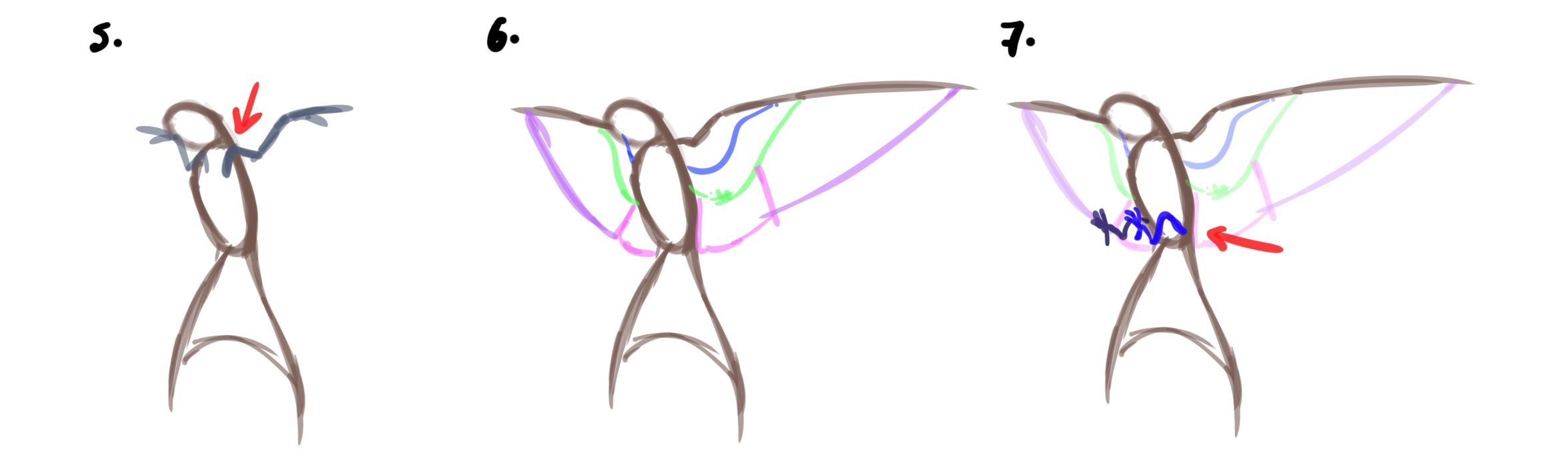 dessiner une hirondelle étape 2