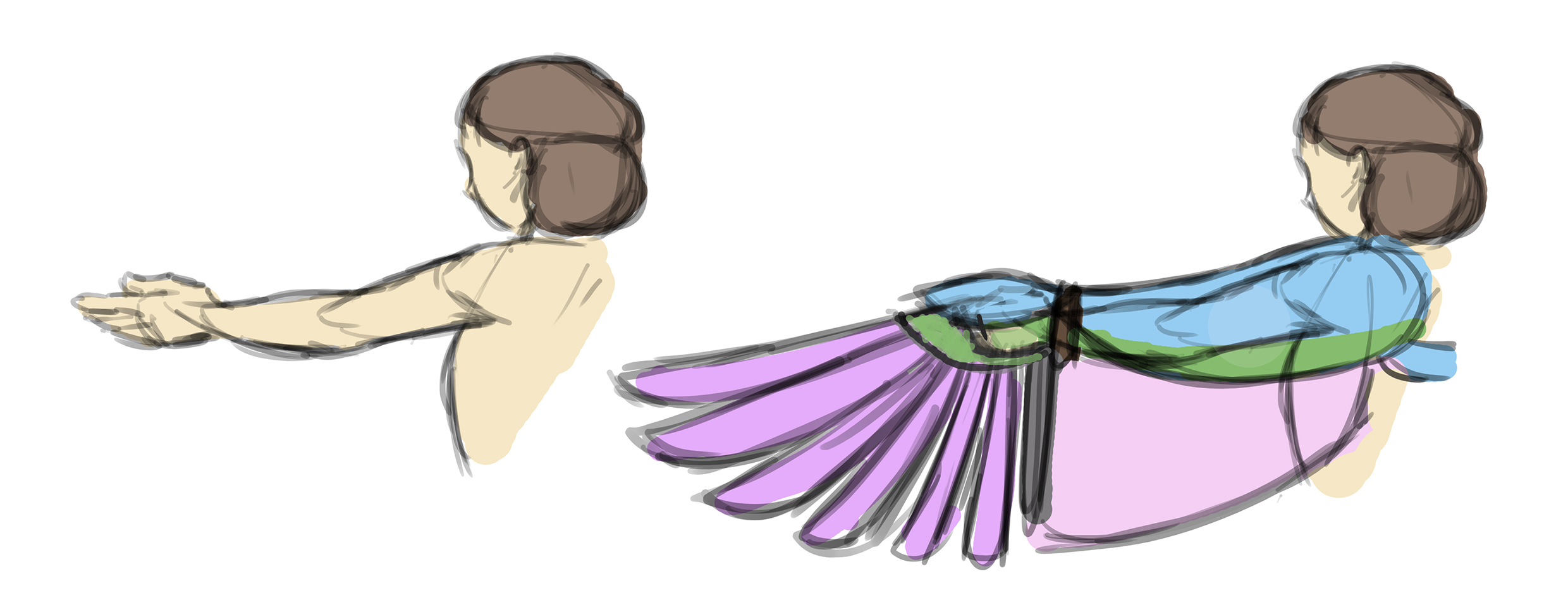 Structure schématique de l’aile d’une hirondelle à l’échelle humaine