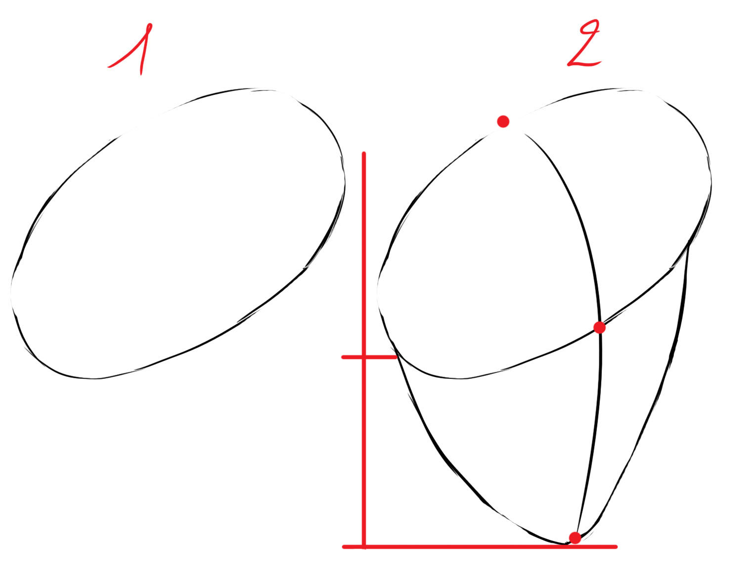 dessiner la base du torse de Hulk