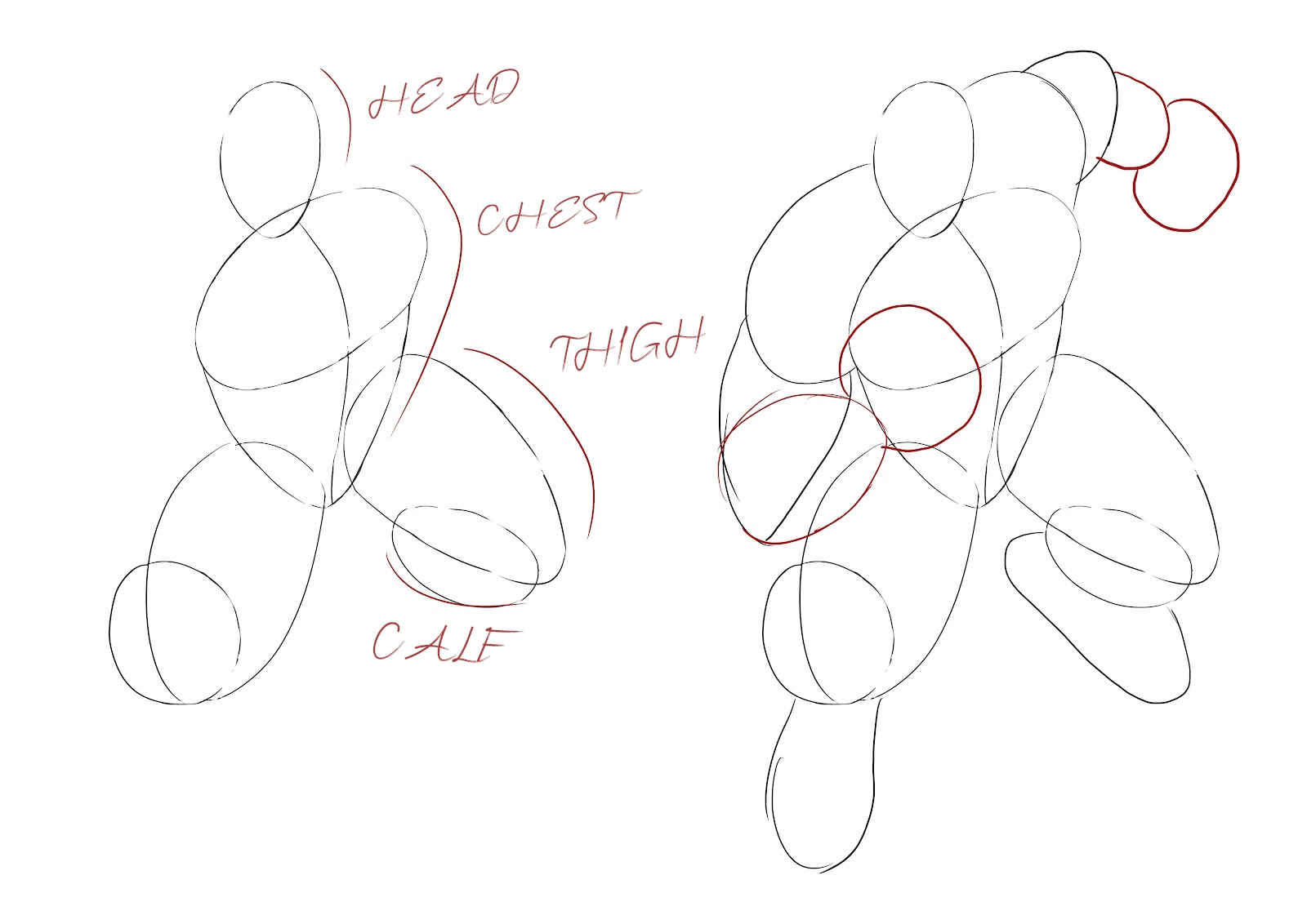 draw the base of the different parts of Hulk's body