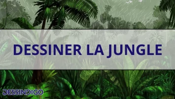 Dessiner la jungle