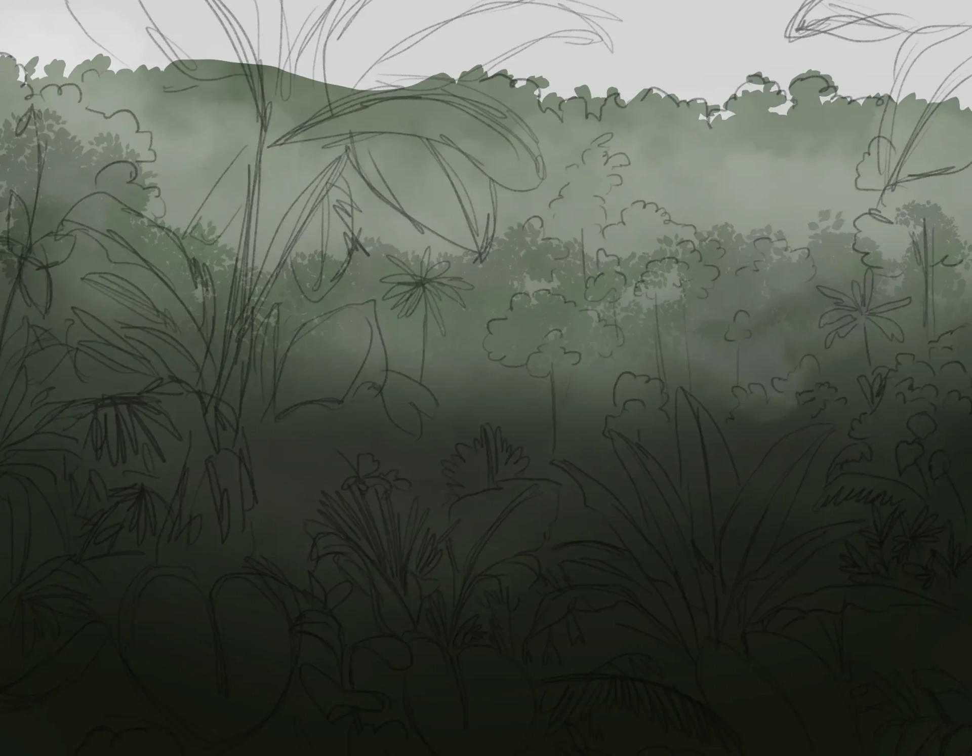 dessiner les arbres de la jungle