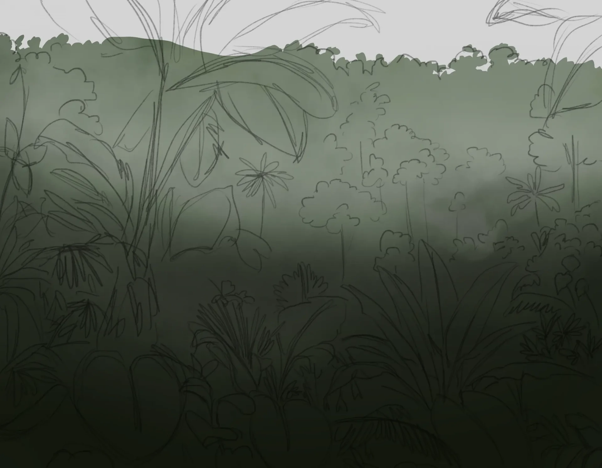 dessiner la brume de la jungle