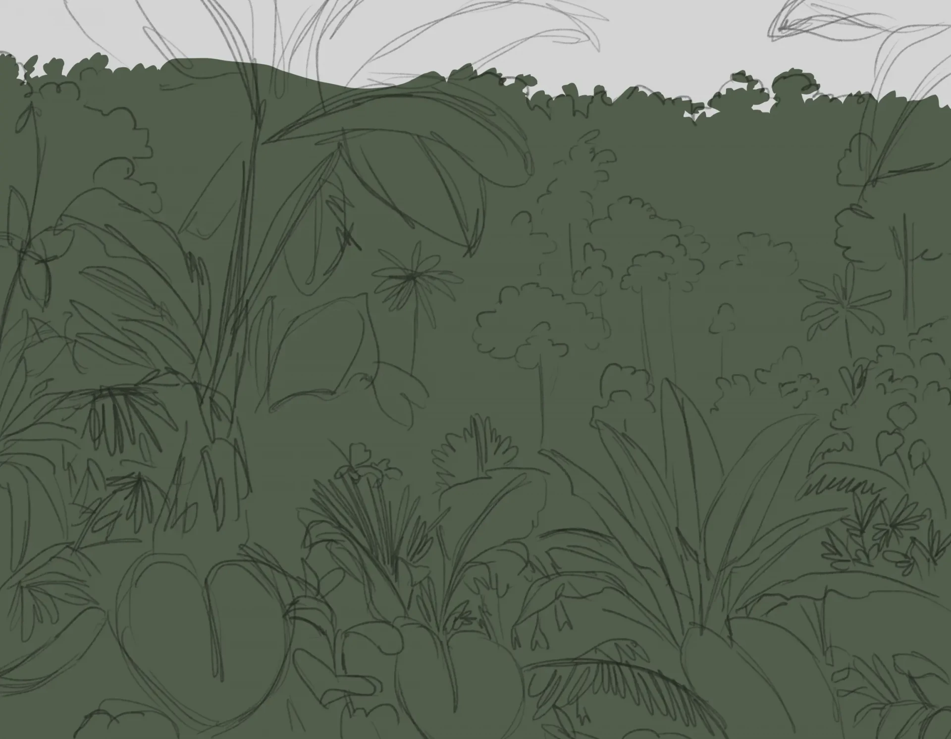 dessiner le ciel de la jungle