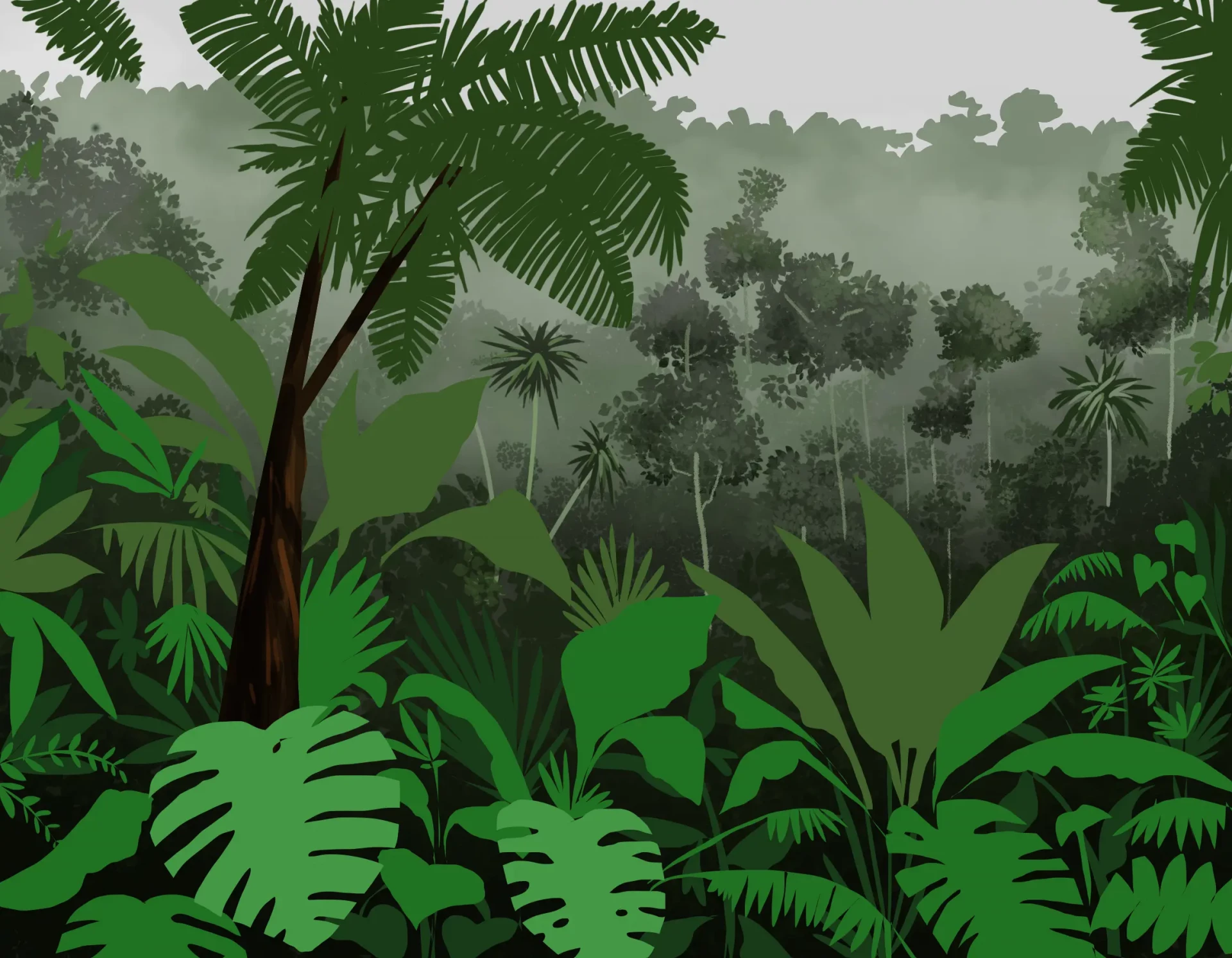 dessiner les couleurs de la jungle